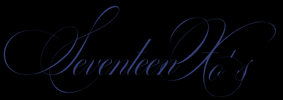 Translation missing: de.Seventeen Xo's accessibility.home